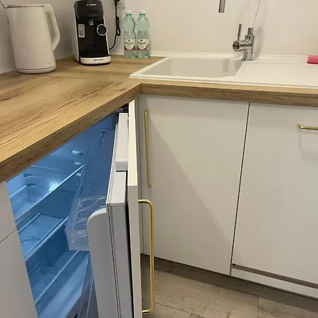 Nikifor Krynica-zdroj * Krynica Zdroj