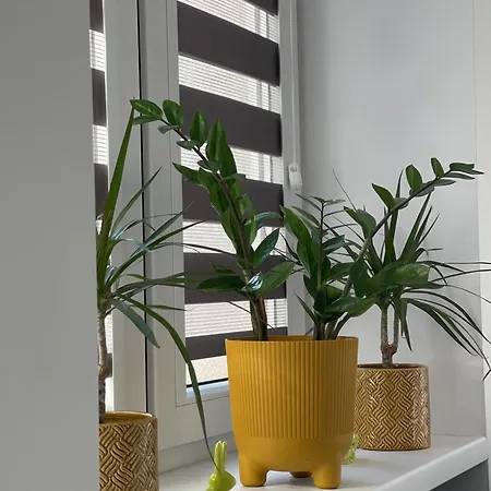 Nikifor Krynica-zdroj Appartement *