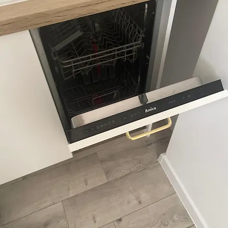 Nikifor Krynica-zdroj *