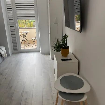 Nikifor Krynica-zdroj